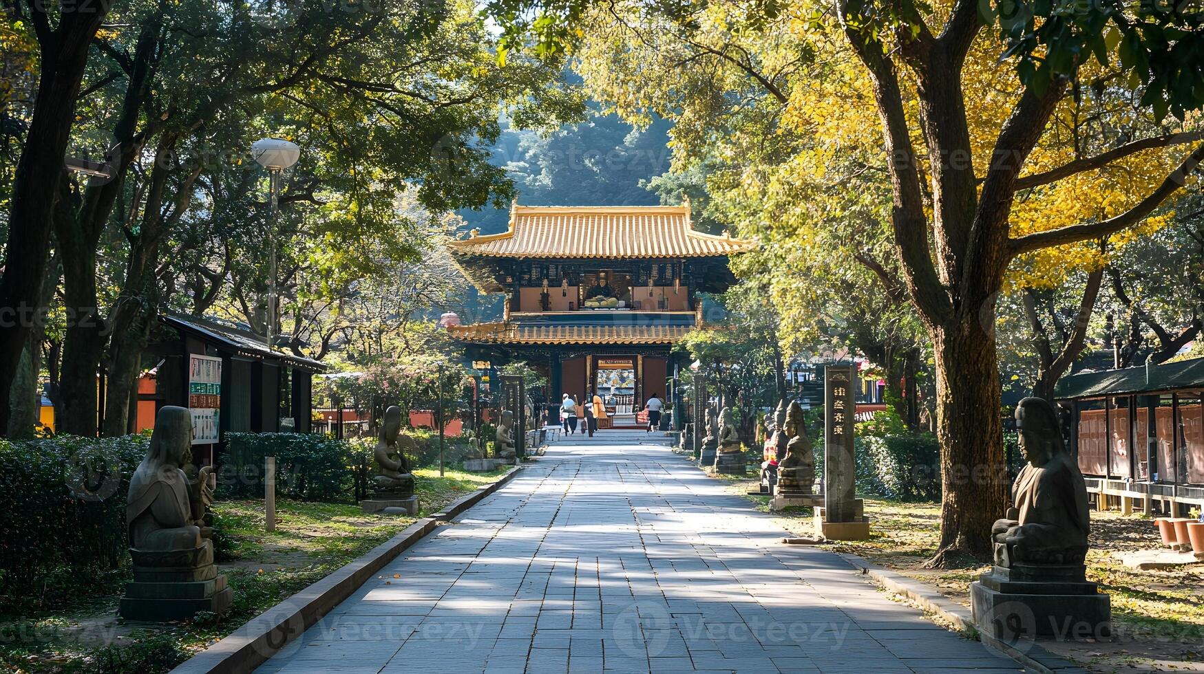 A path lined with trees and shrubs photo