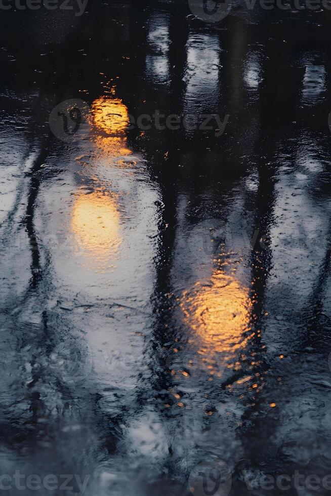Reflections of trees in a puddle of water photo