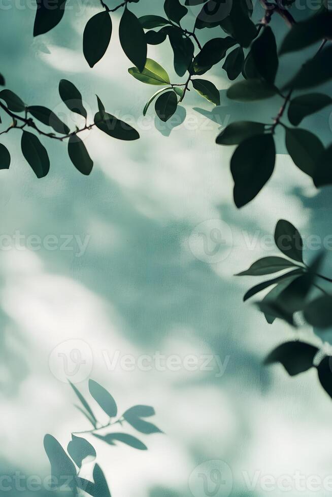 A green leafy branch is shown in front of a blue sky photo