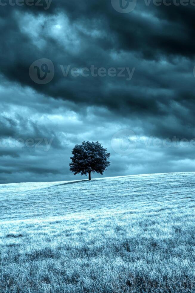 A solitary tree stands against a dramatic and moody sky photo