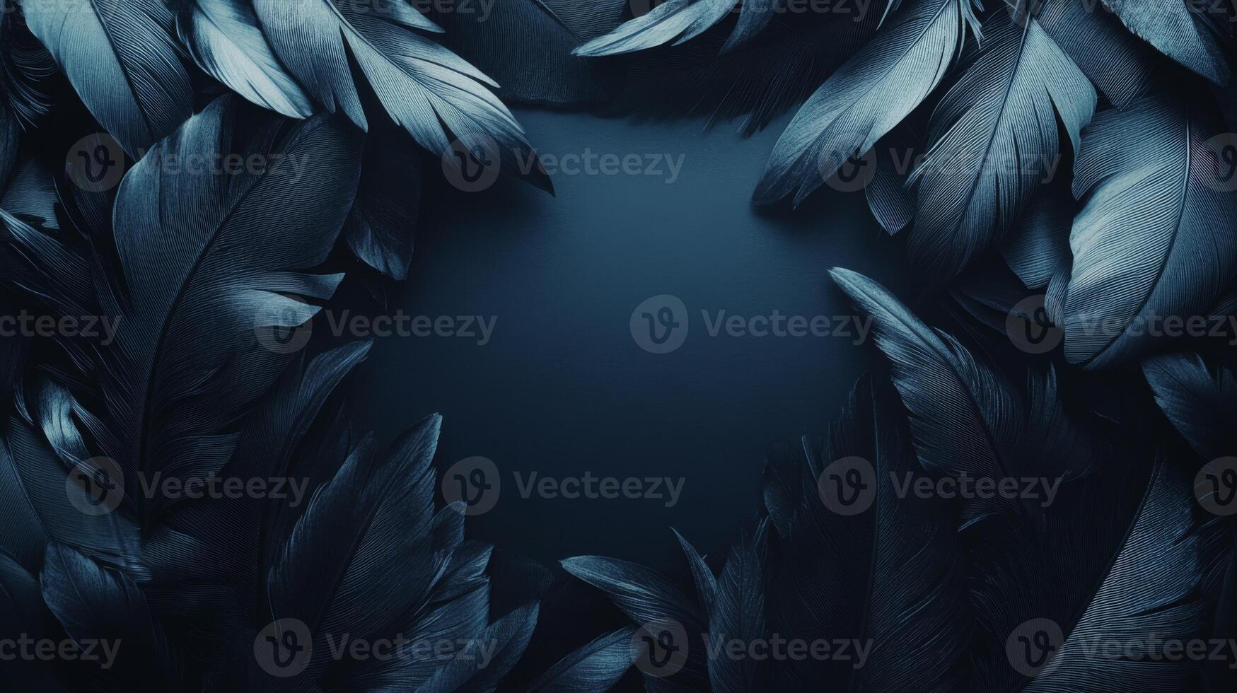 A collection of dark blue feathers arranged in a circular pattern on a dark background photo
