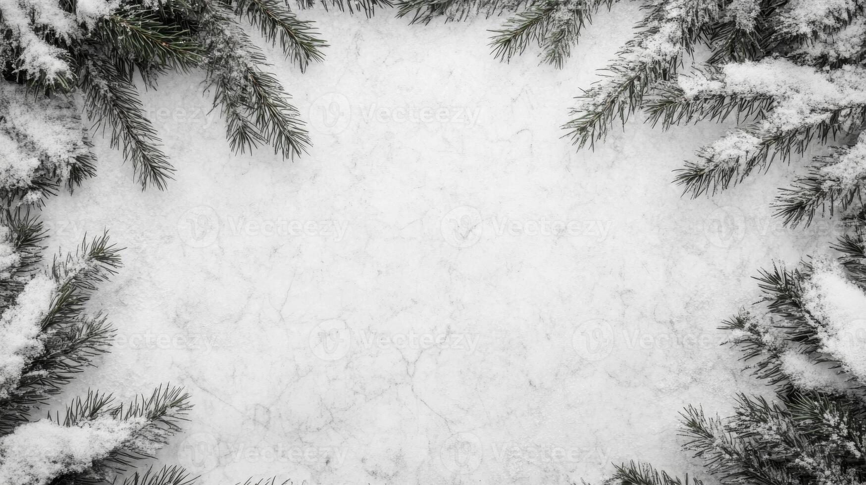 Snow Covered Pine Branches Frame Texture photo