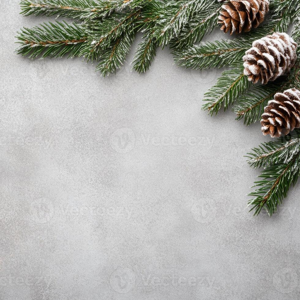 Snow-Dusted Pine Cones and Evergreen Branches on a Gray Background photo
