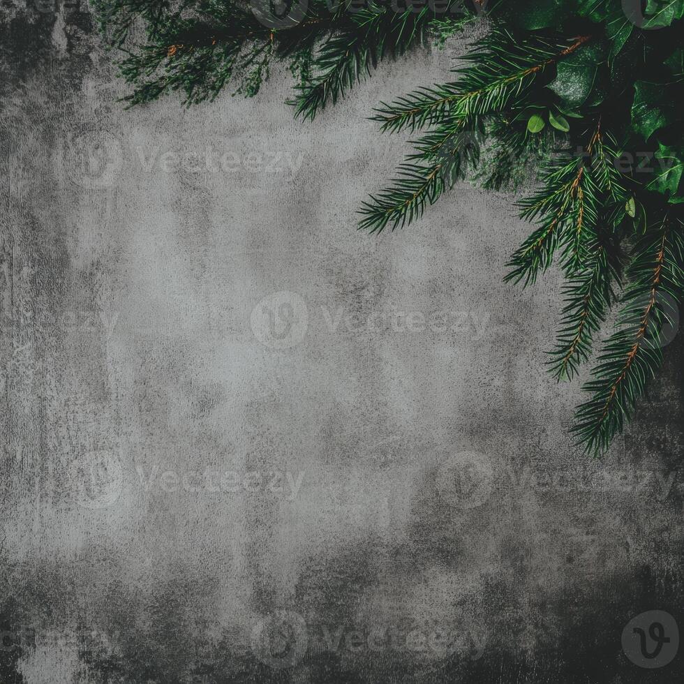 Evergreen Branches on a Textured Gray Surface with Dark Edges photo