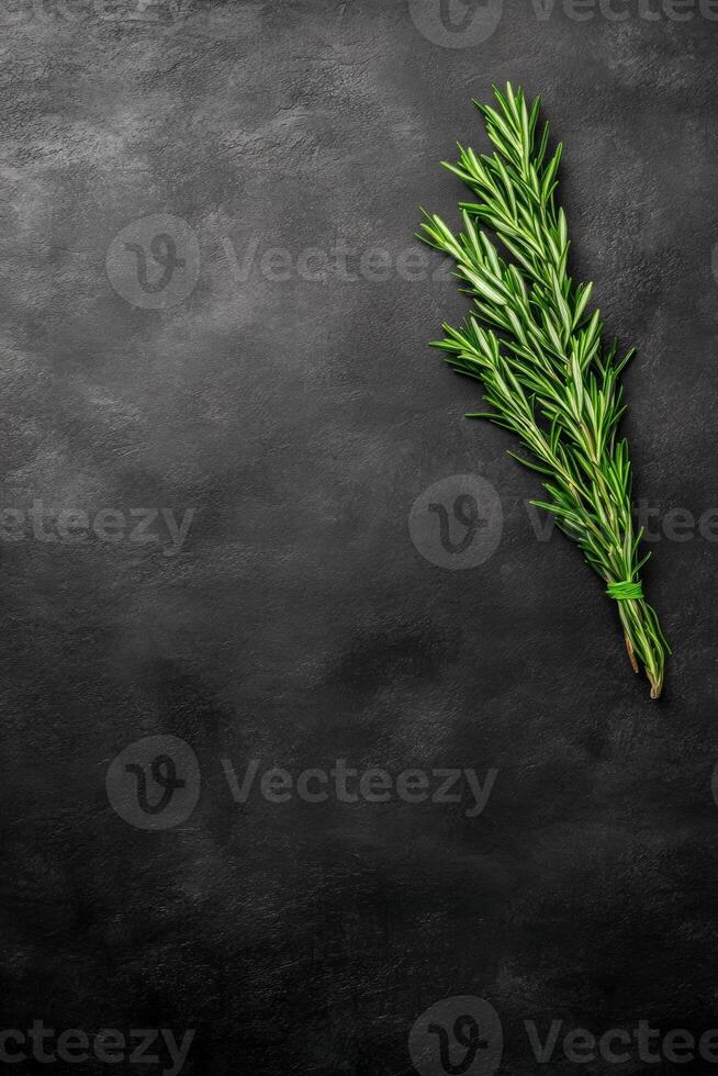 Fresh Rosemary Sprig Tied with Twine on a Dark Textured Background photo