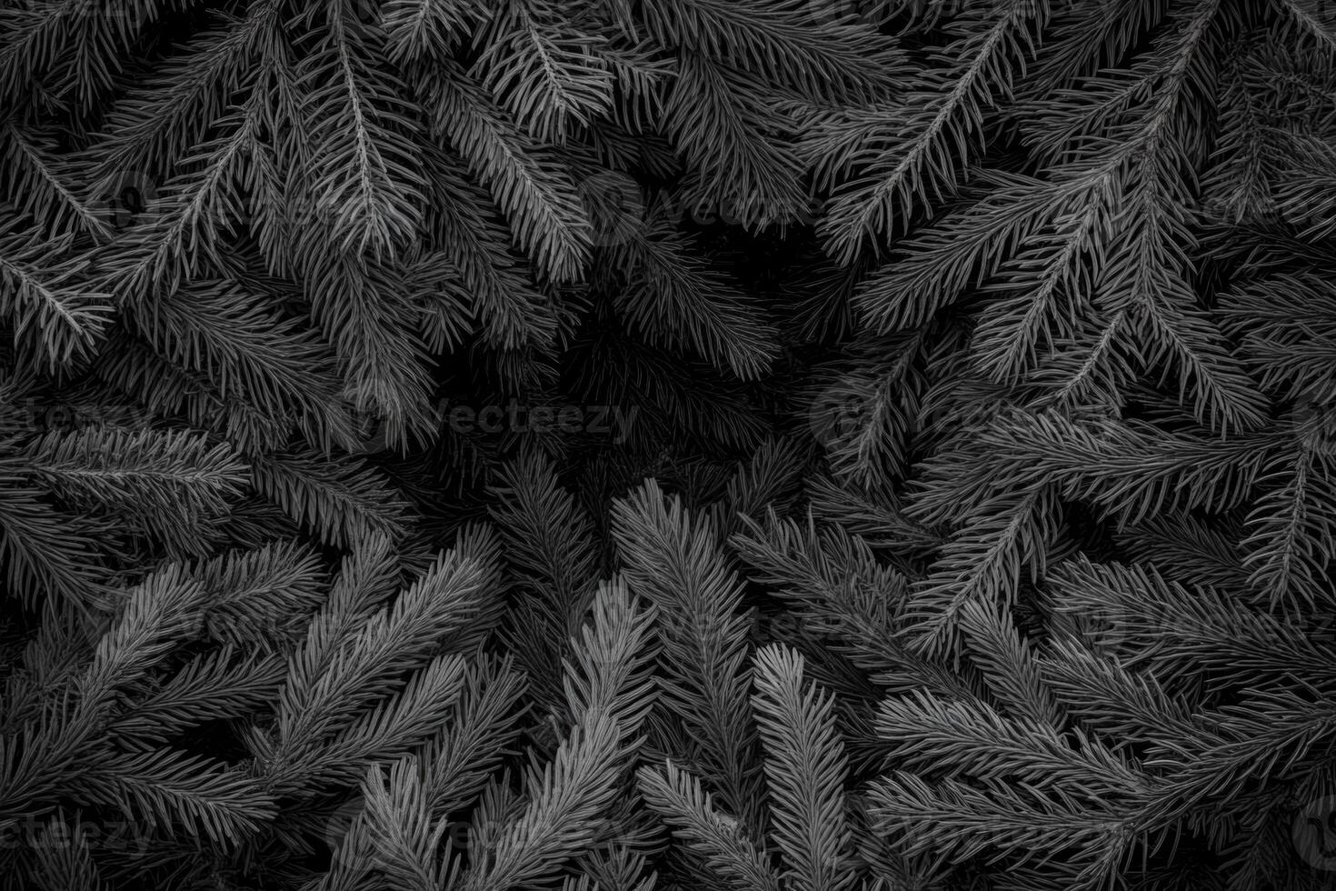 Black and White Pine Needles Texture photo