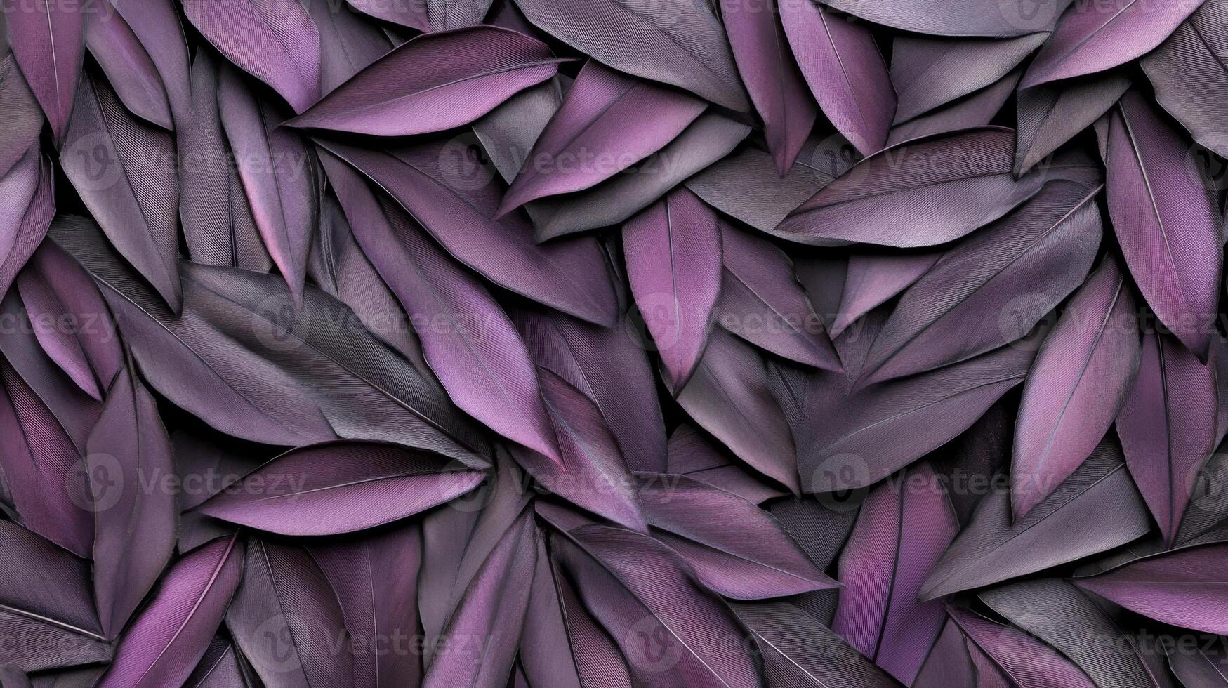 Dense Layer of Glossy Purple Feathers in a Textured Pattern photo