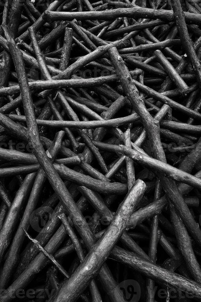 Tangled Pile of Dry Twigs in Monochrome Close Up View photo