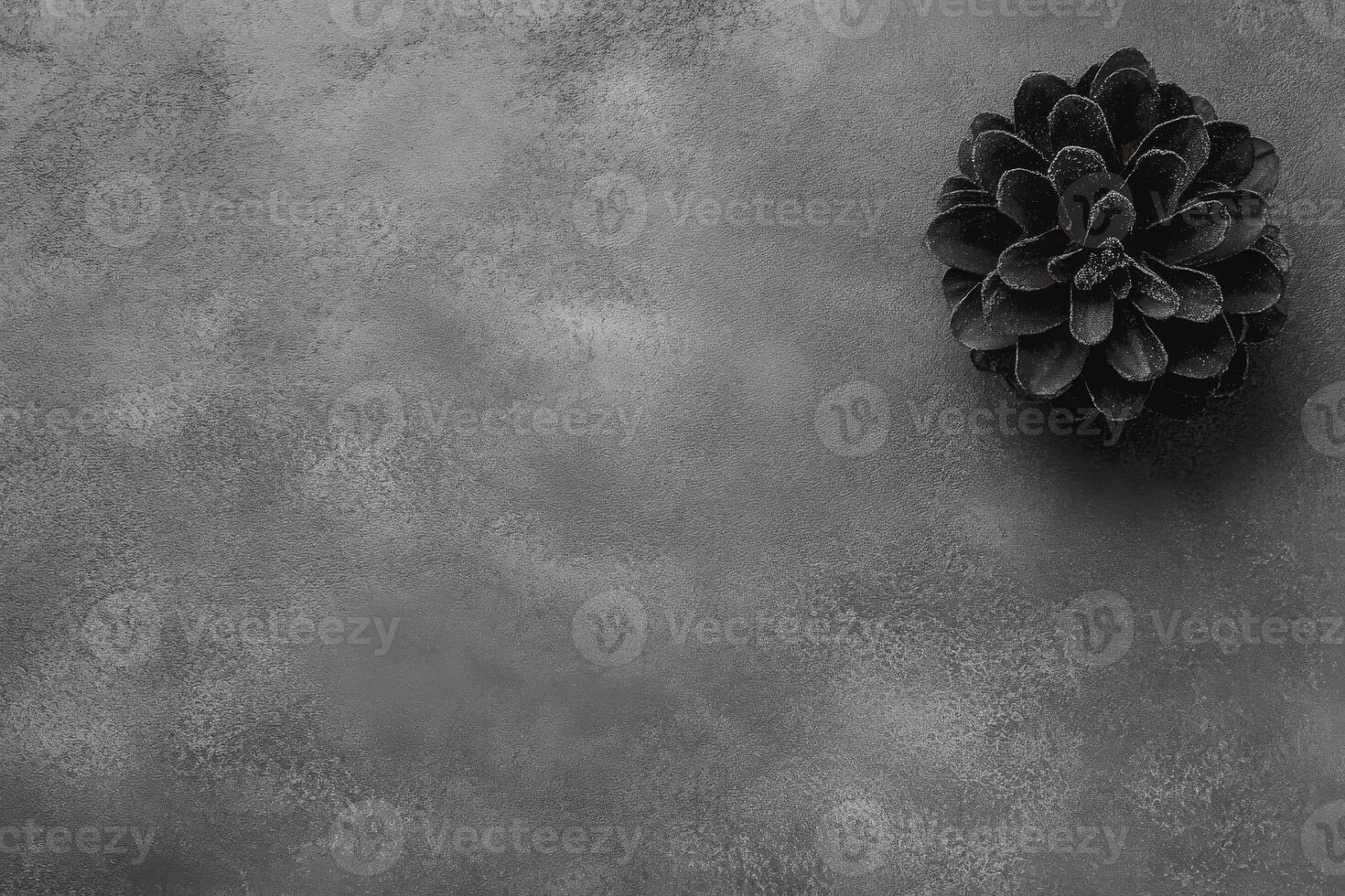 Single Pinecone on a Textured Gray Surface in Monochrome photo