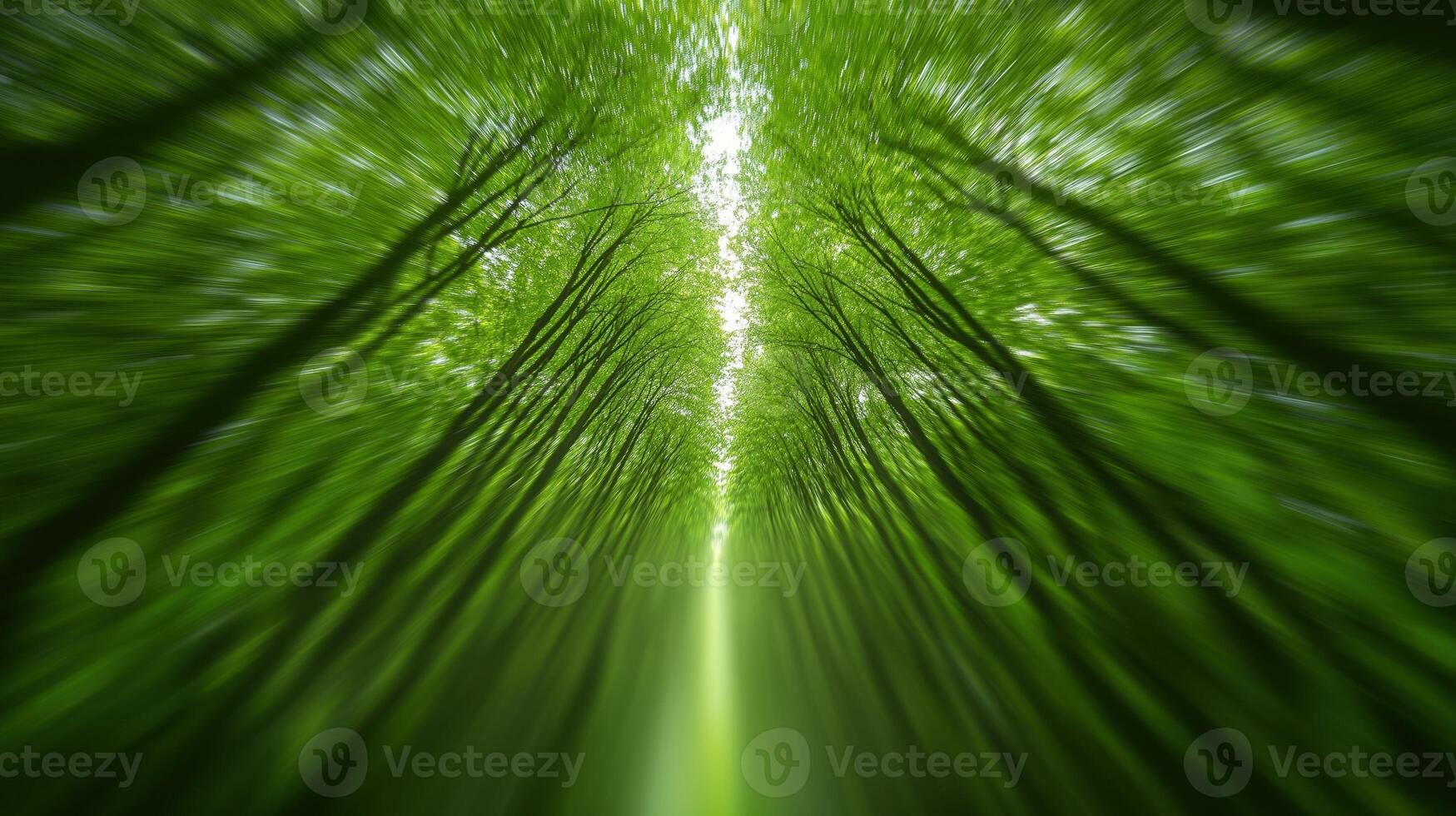 Abstract View of a Tunnel Formed by Trees Shot from Below in Lush Green Forest with Soft Light photo