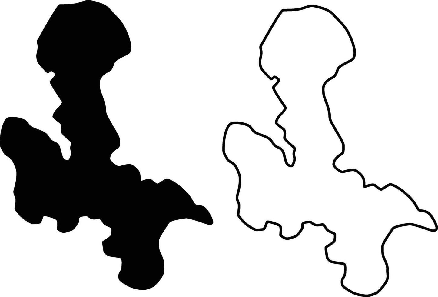 Newman Lake Washington Map Silhouette Flat and Outline Design vector
