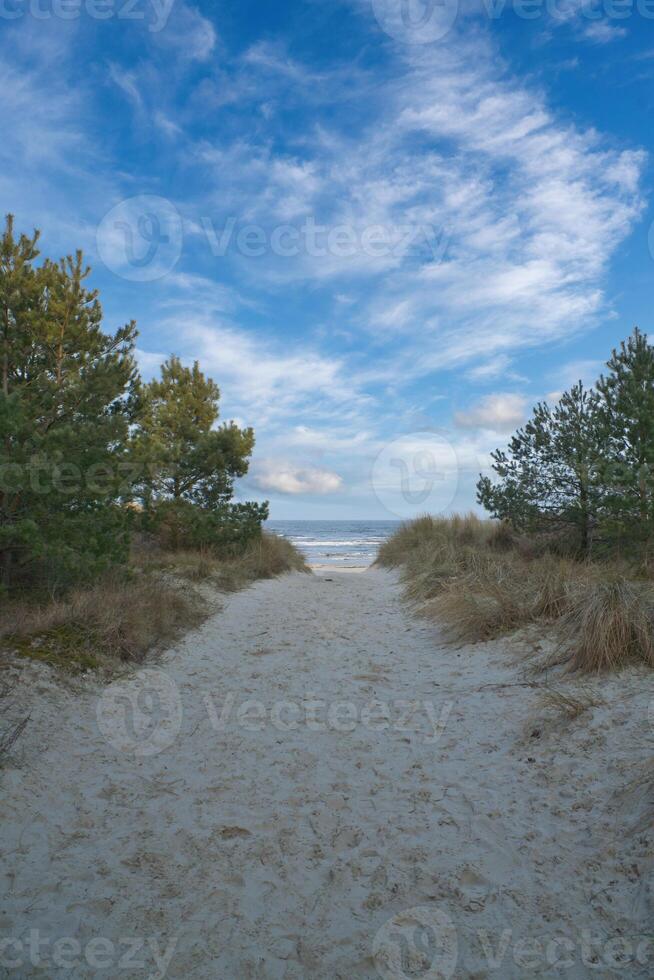 Beach crossing on the island of Usedom to the Baltic Sea. photo