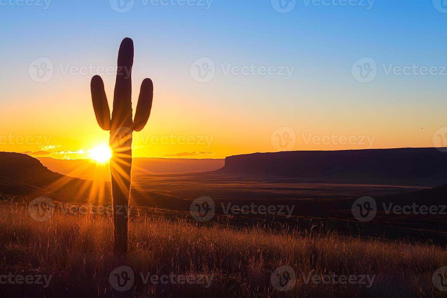 Majestic Sunset Silhouette of Saguaro Cactus in Arizona Desert Landscape photo