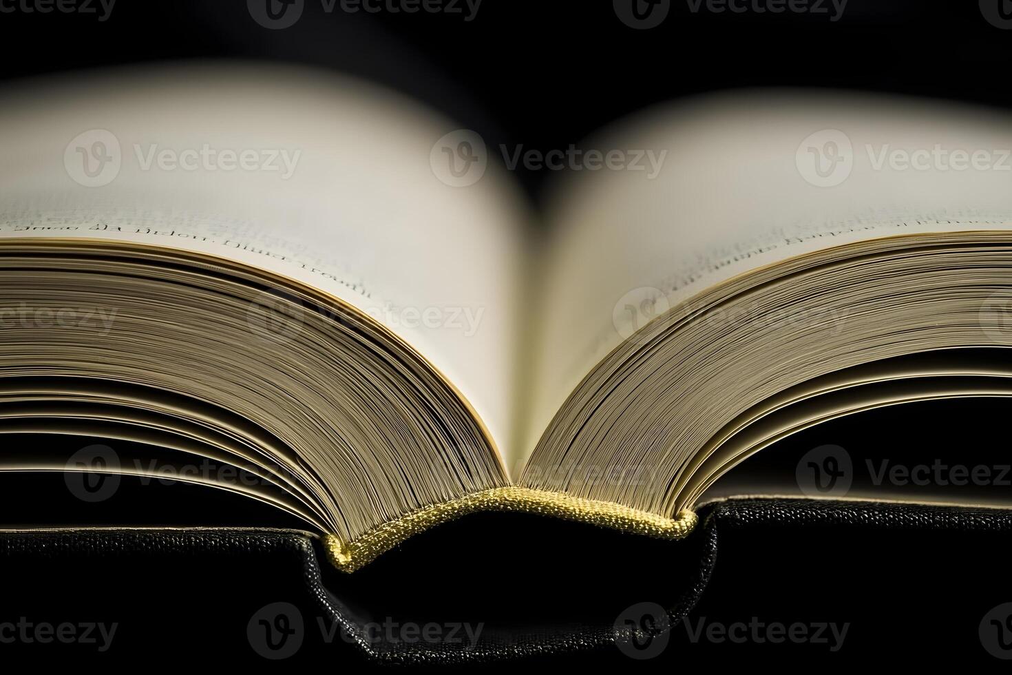 Open Book Pages Literature Reading Knowledge Wisdom Education Textbook Close Up Detail Curved Pages photo