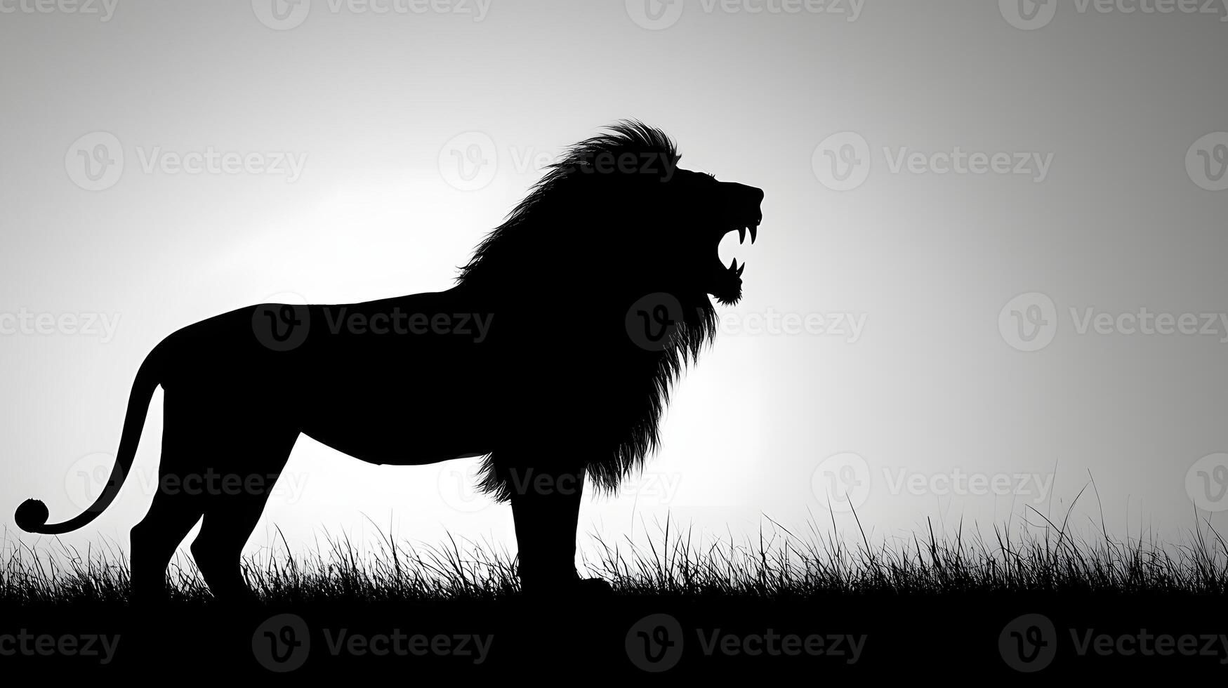 Majestic Lion Silhouette Roaring at Dawn African Savannah Grassland photo