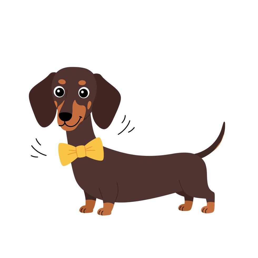 Cheerful brown dachshund wearing a yellow bowtie in a minimal flat illustration vector