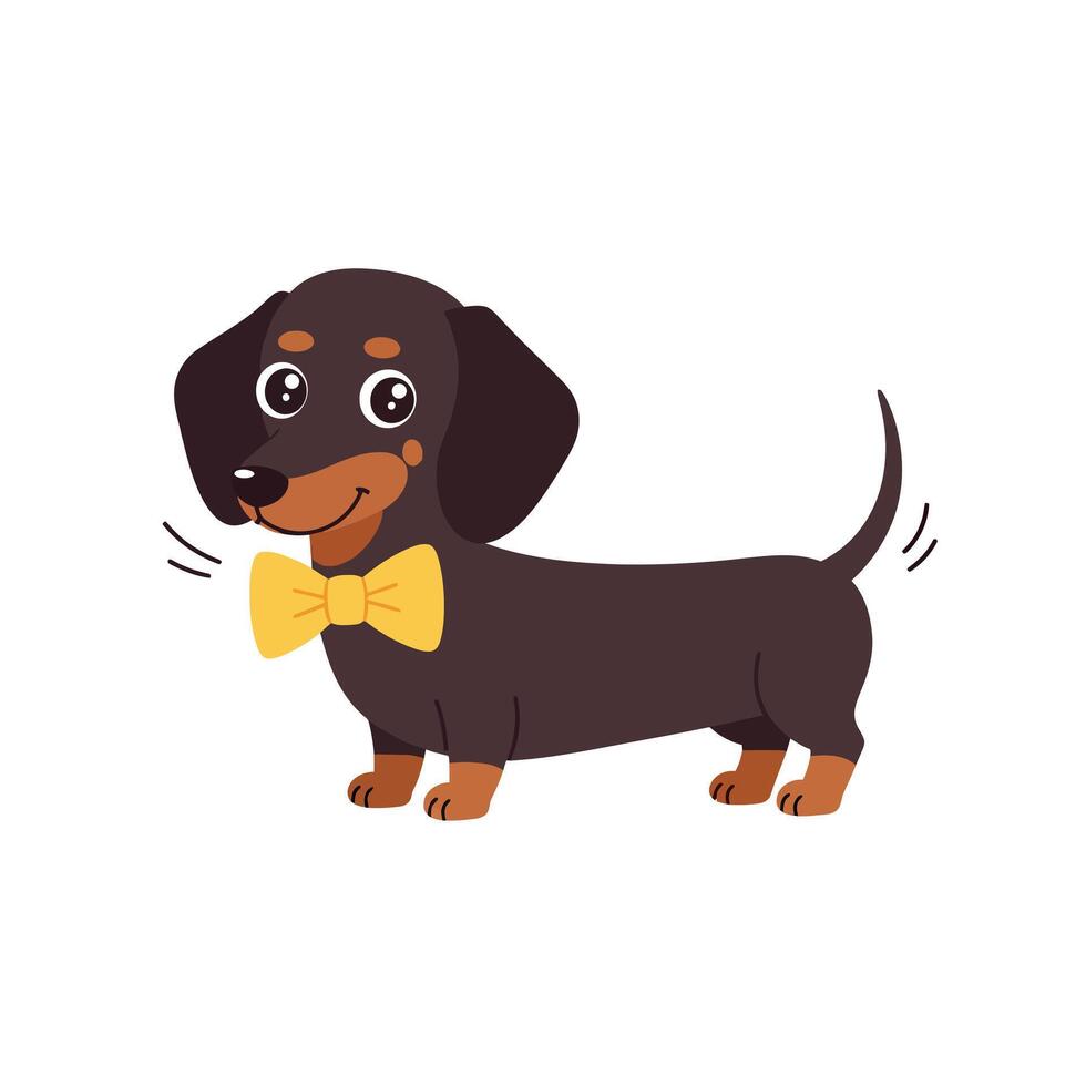 Happy brown dachshund wearing a yellow bowtie in a playful flat illustration vector