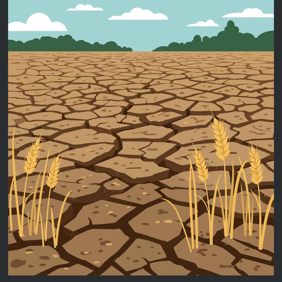 Dry cracked earth landscape with golden wheat stalks in flat art vector
