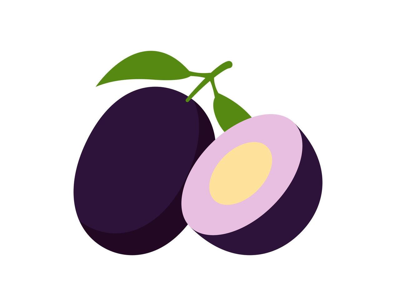 jamun fruit illustration for coloring book template, jamun fruit for kids worksheet printable vector