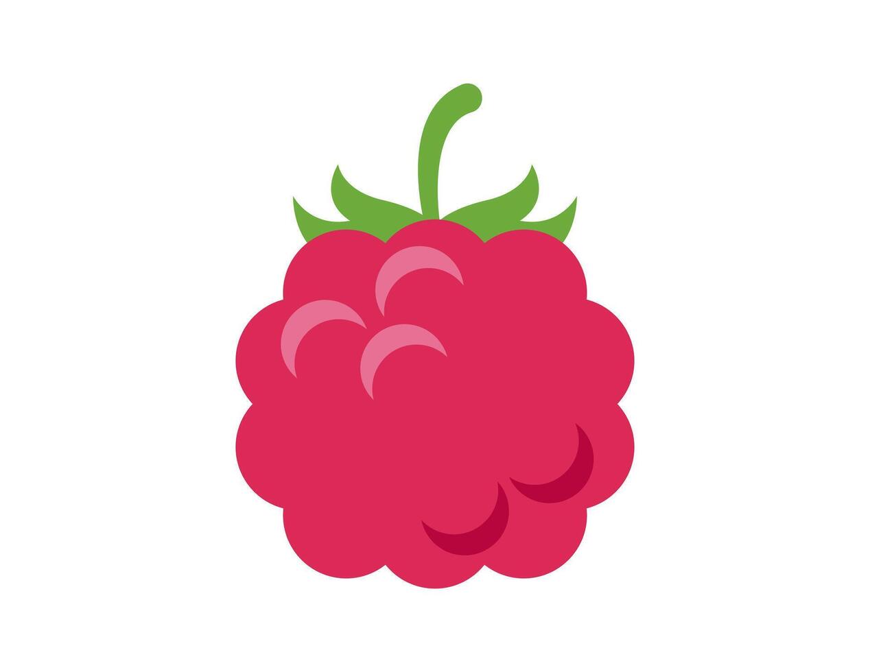 raspberry illustration for coloring book template, raspberry for kids worksheet printable vector