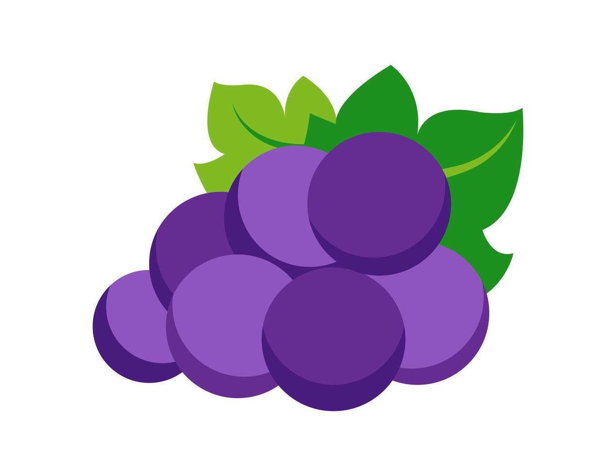 grape illustration for coloring book template, grape for kids worksheet printable vector