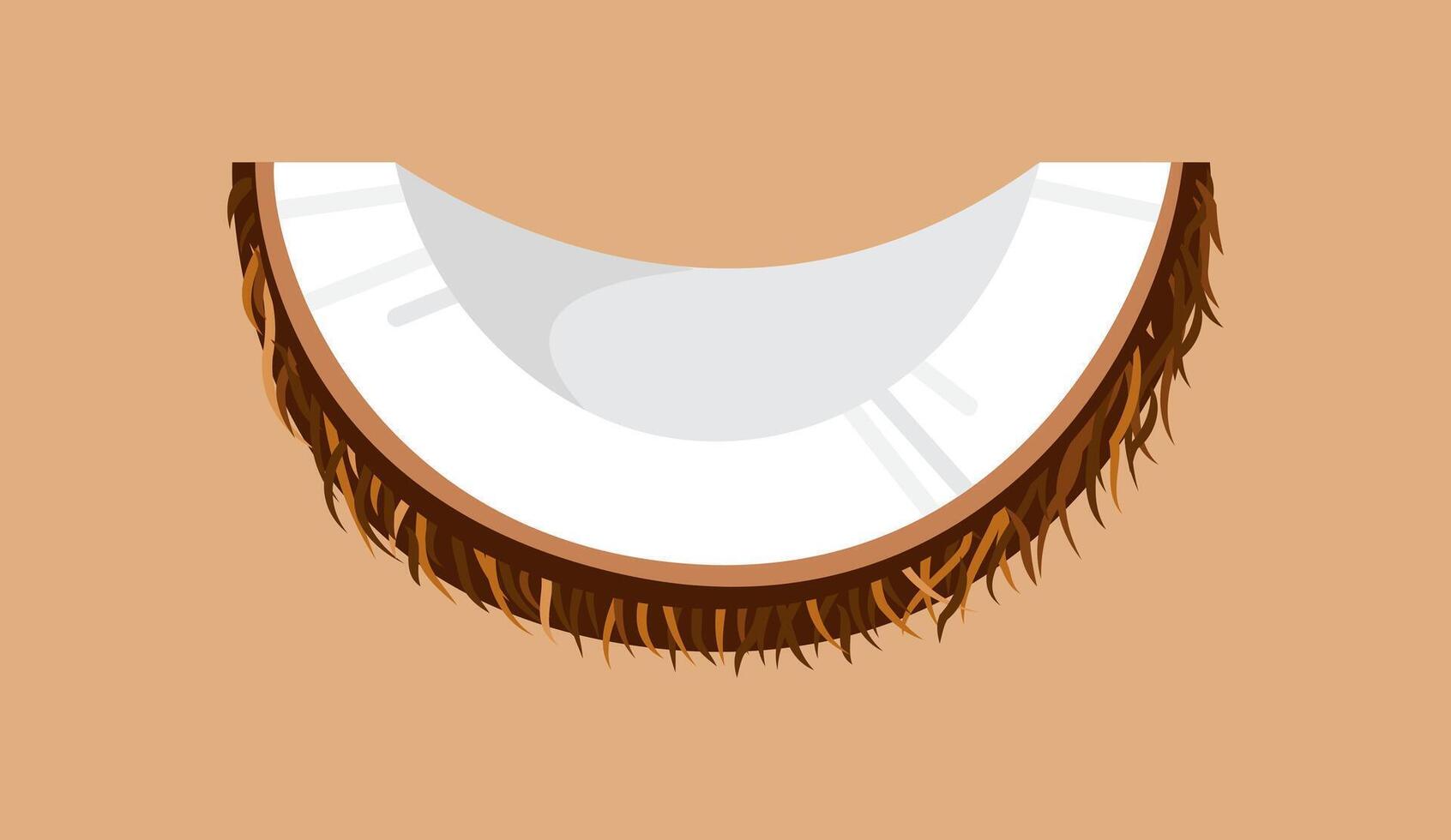 coconut, coconut isolated on brown background vector