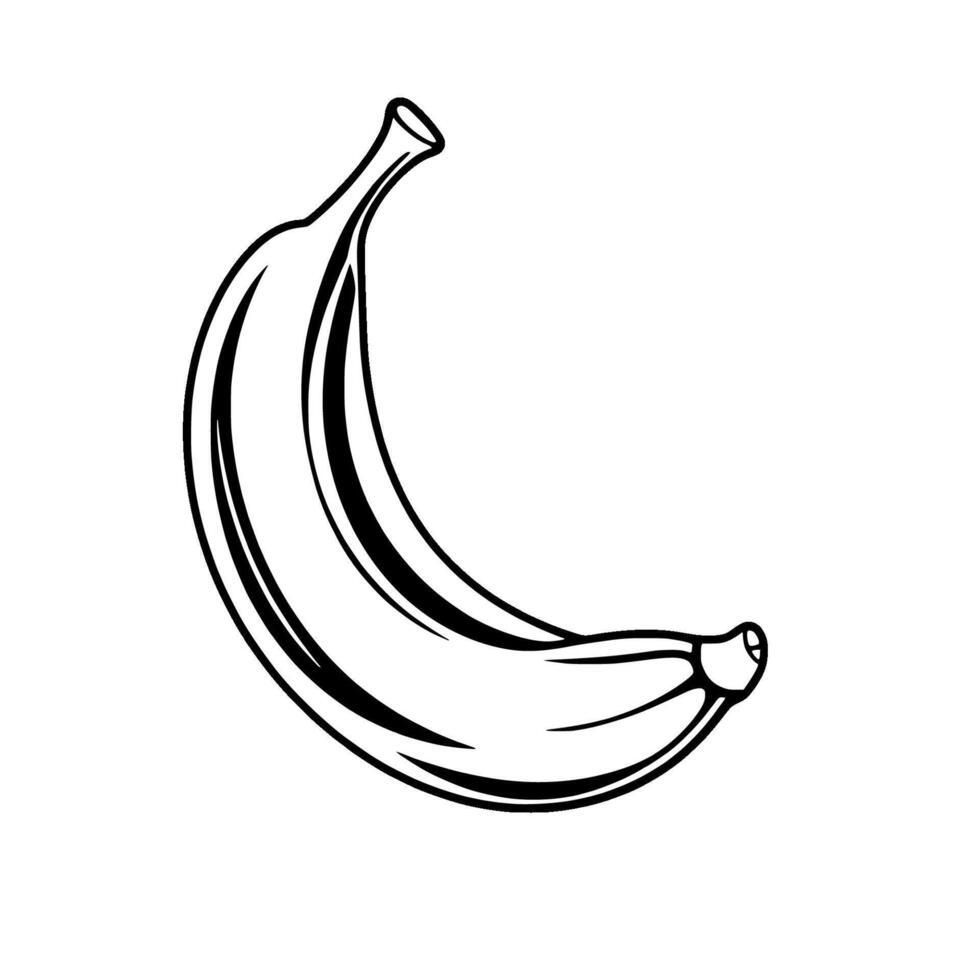 Single Banana Illustration A Black And White Line Drawing vector