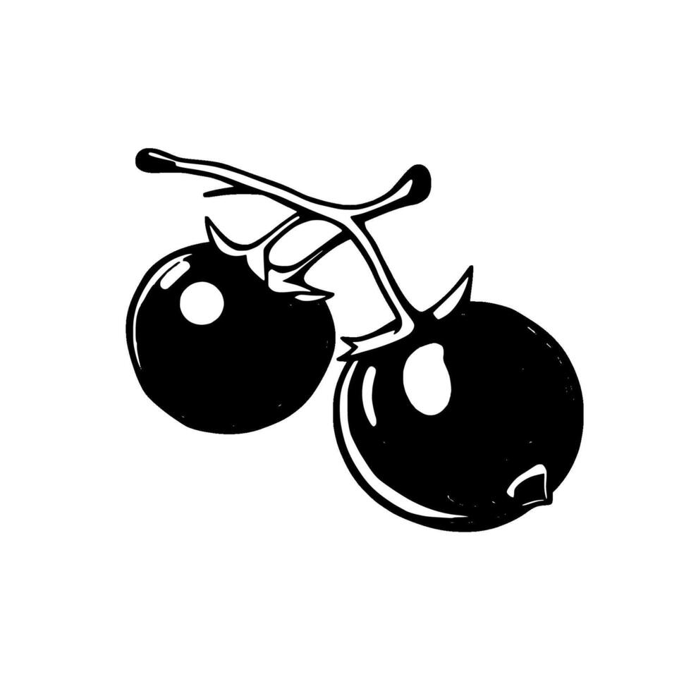 Two Red Cherry Tomatoes on Vine Simple Illustration vector