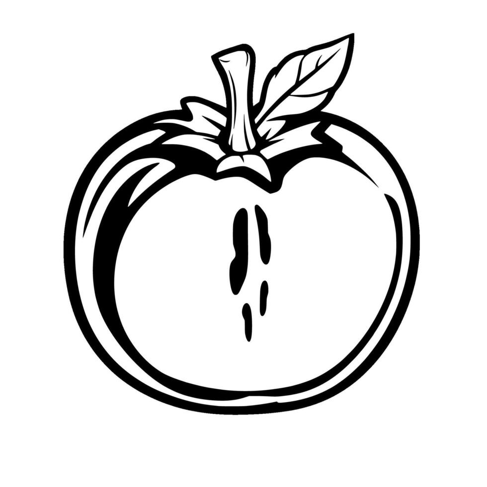 Halved Apple Illustration A Simple Black And White Drawing vector