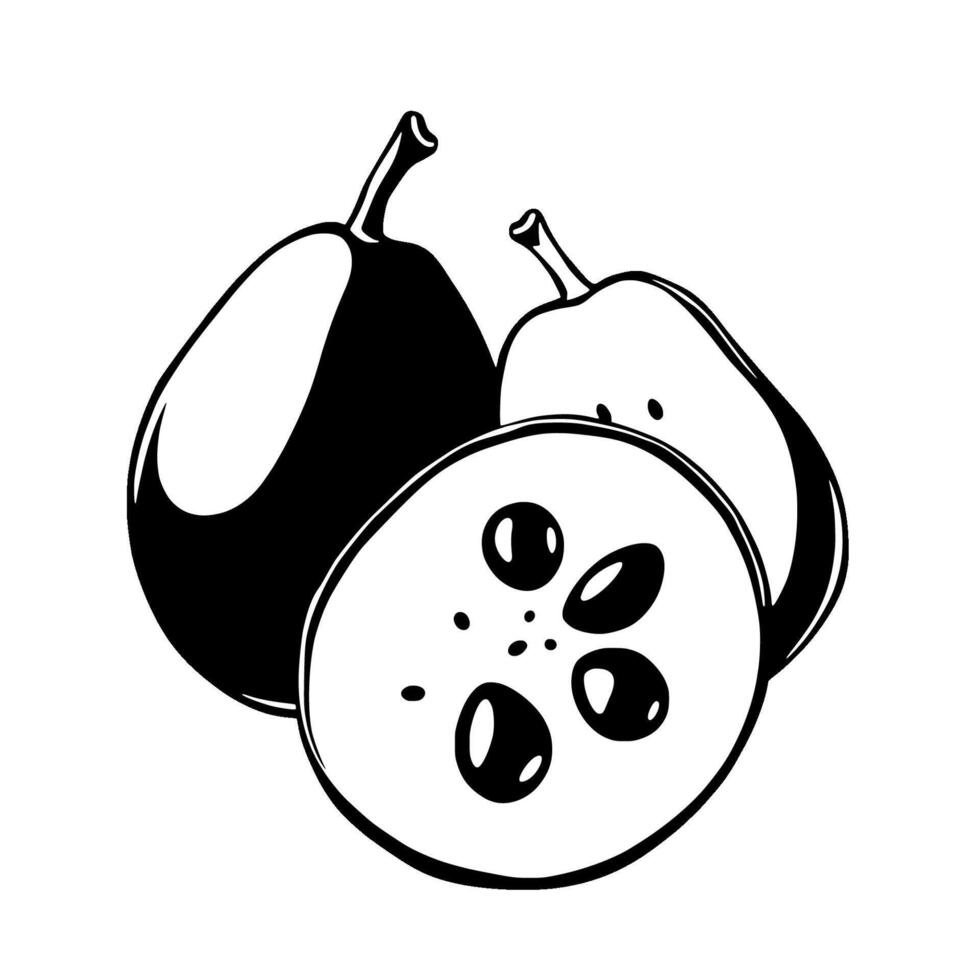 A Detailed Illustration Of Two Pears One Sliced To Reveal The Seeds Inside vector