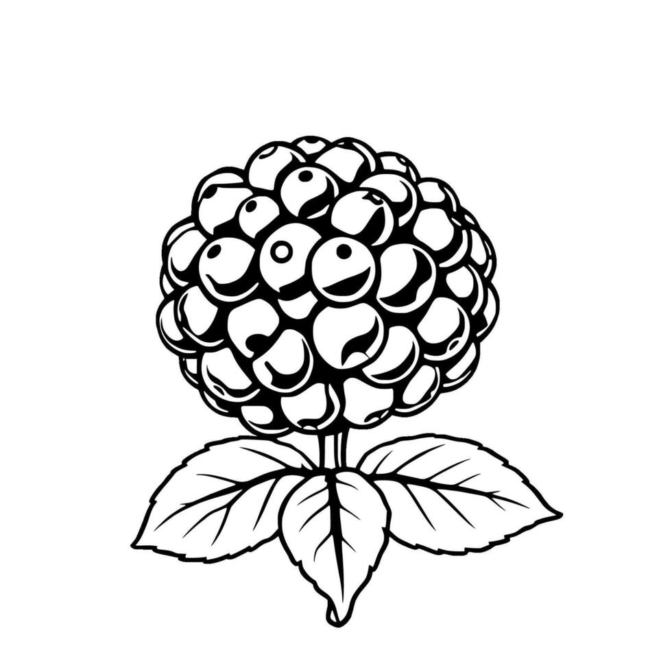 Black And White Illustration Of A Round Berry Cluster With Leaves vector