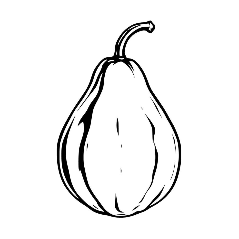 A Simple Line Drawing Of A Single Ripe Pear Fruit vector