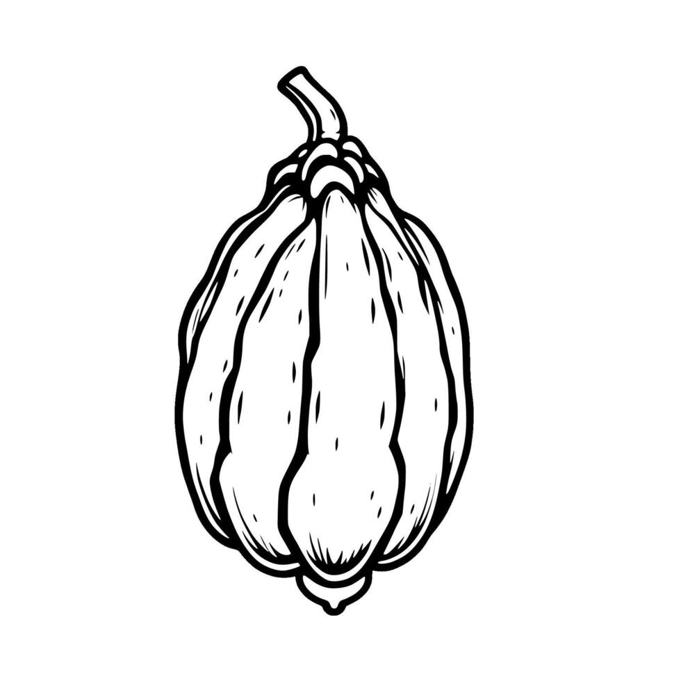 A Detailed Line Drawing Of A Single Ripe Gourd vector