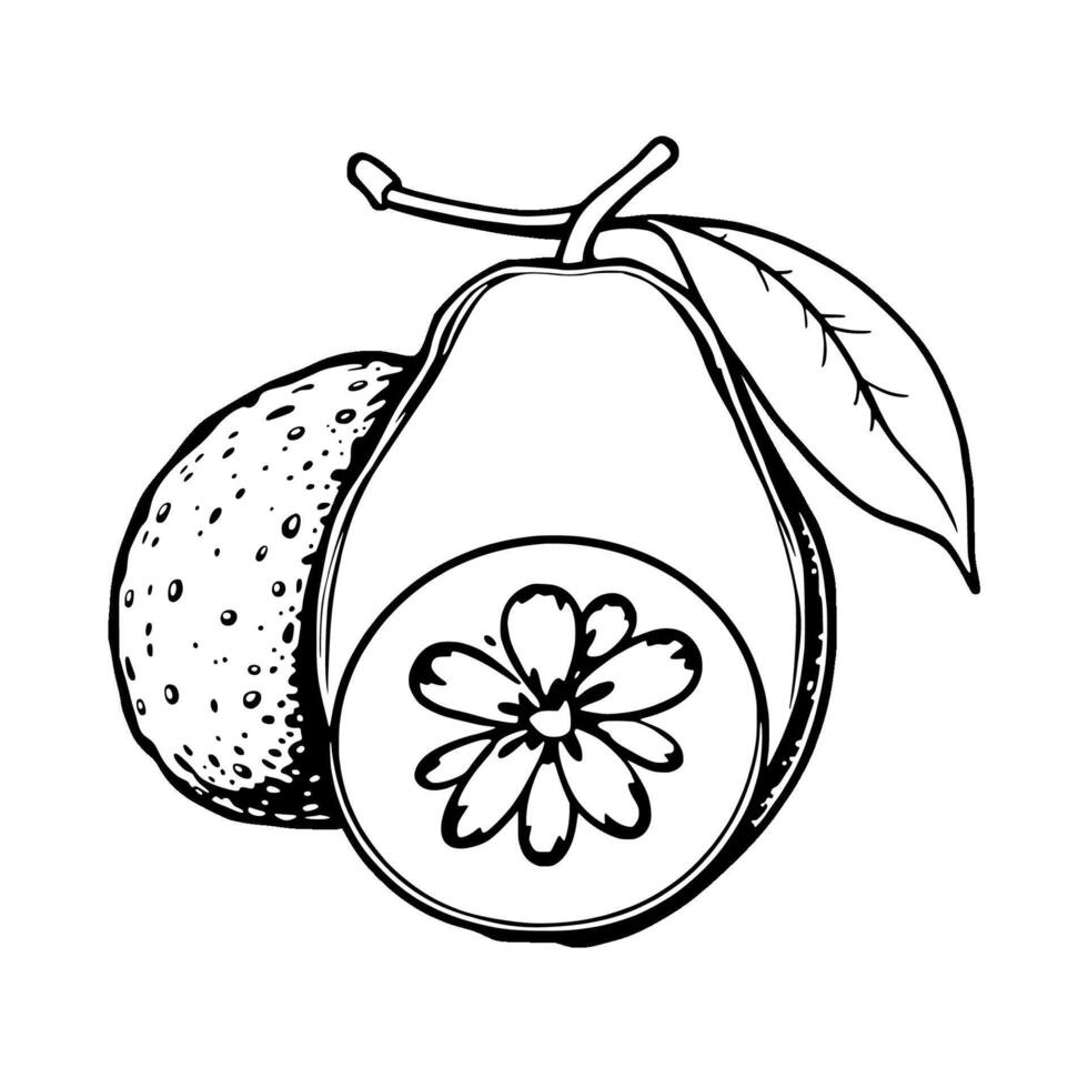 Hand-Drawn Illustration Of An Avocado With A Floral Design Inside vector