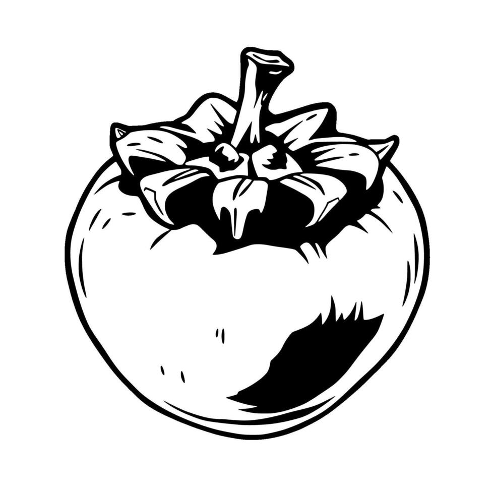 A Striking Black And White Illustration Of A Single Persimmon vector