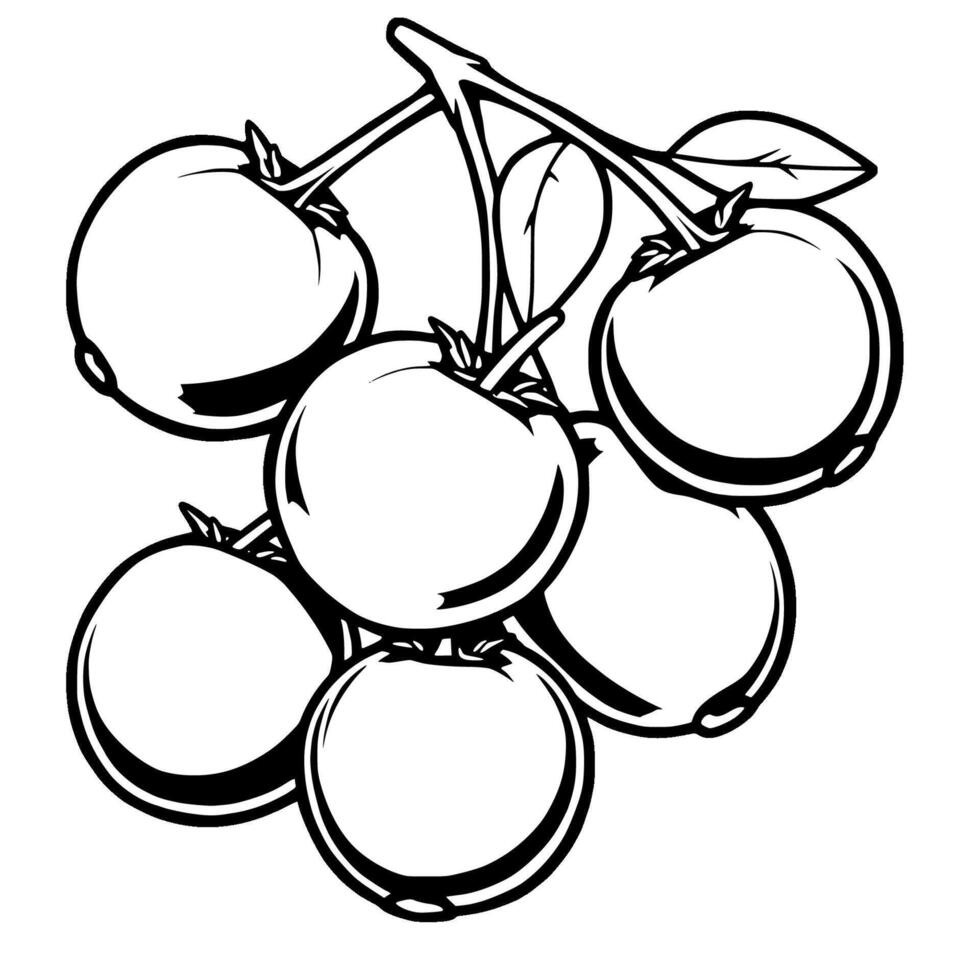 Cluster Of Ripe Tomatoes On The Vine Black And White Illustration vector