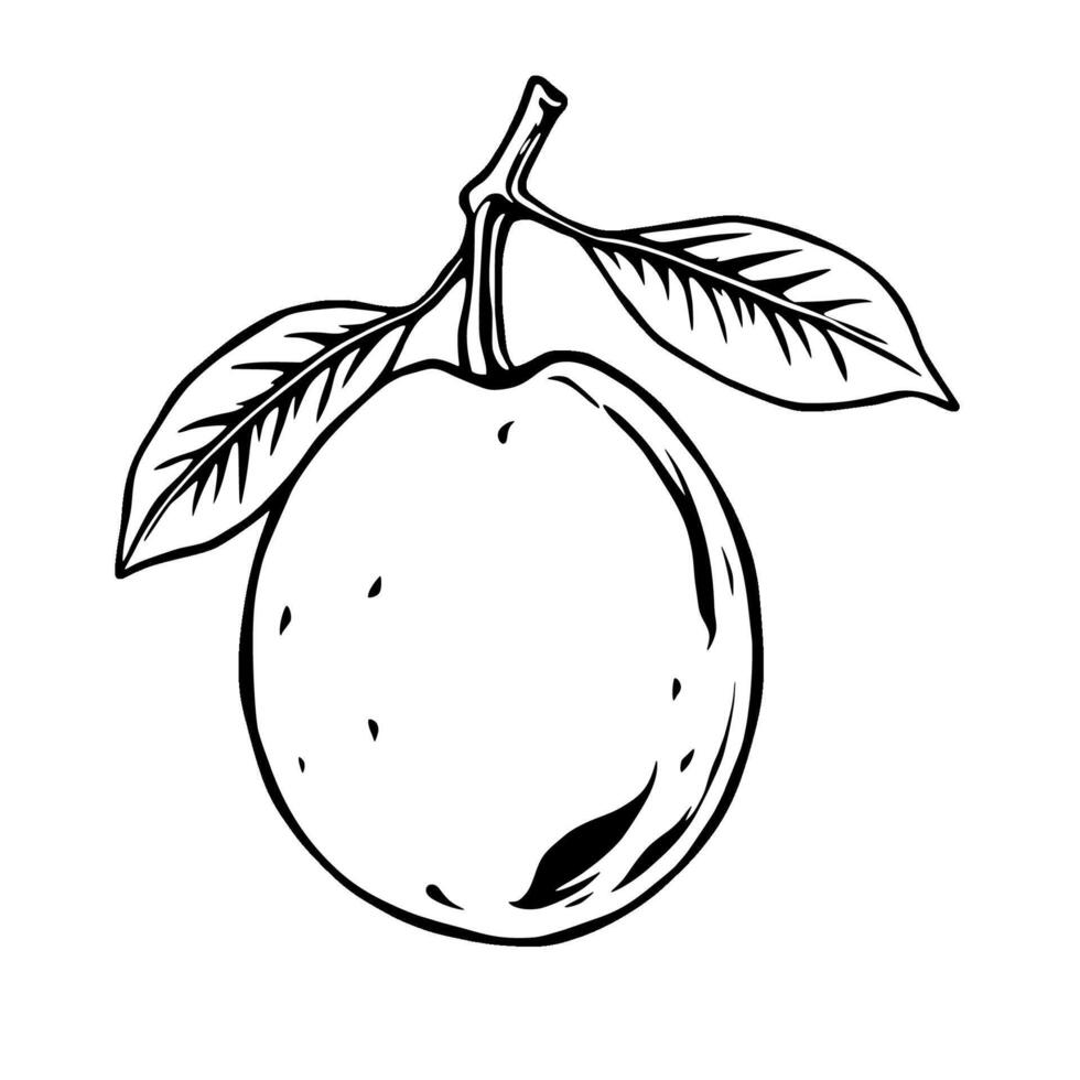 Hand-Drawn Illustration Of A Single Orange With Leaves vector