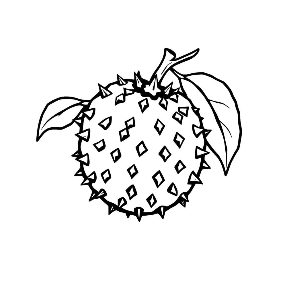 Line Drawing Of A Spiky Tropical Fruit With Leaves vector