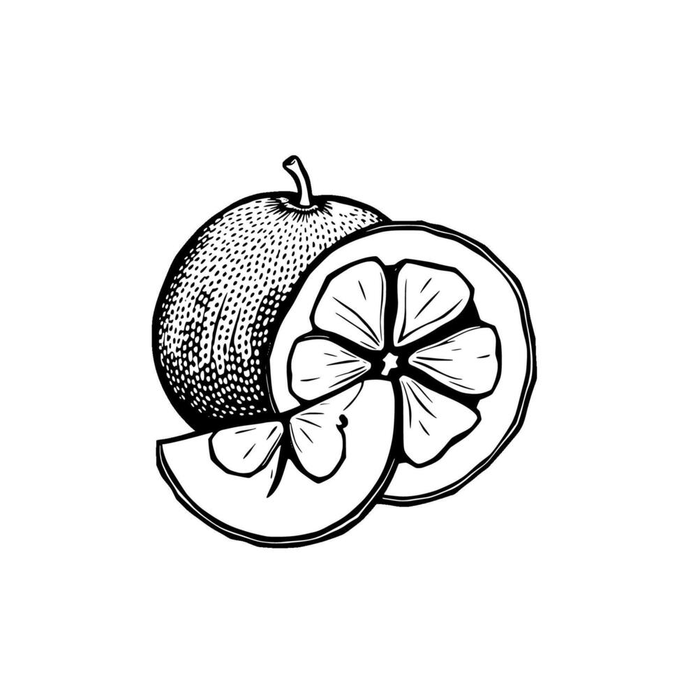 Hand-Drawn Illustration Of A Juicy Orange Sliced And Whole vector