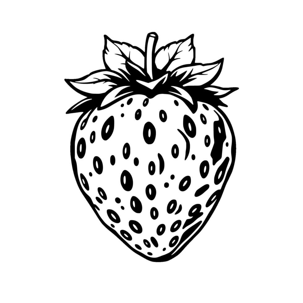Detailed Line Art Illustration Of A Single Strawberry vector