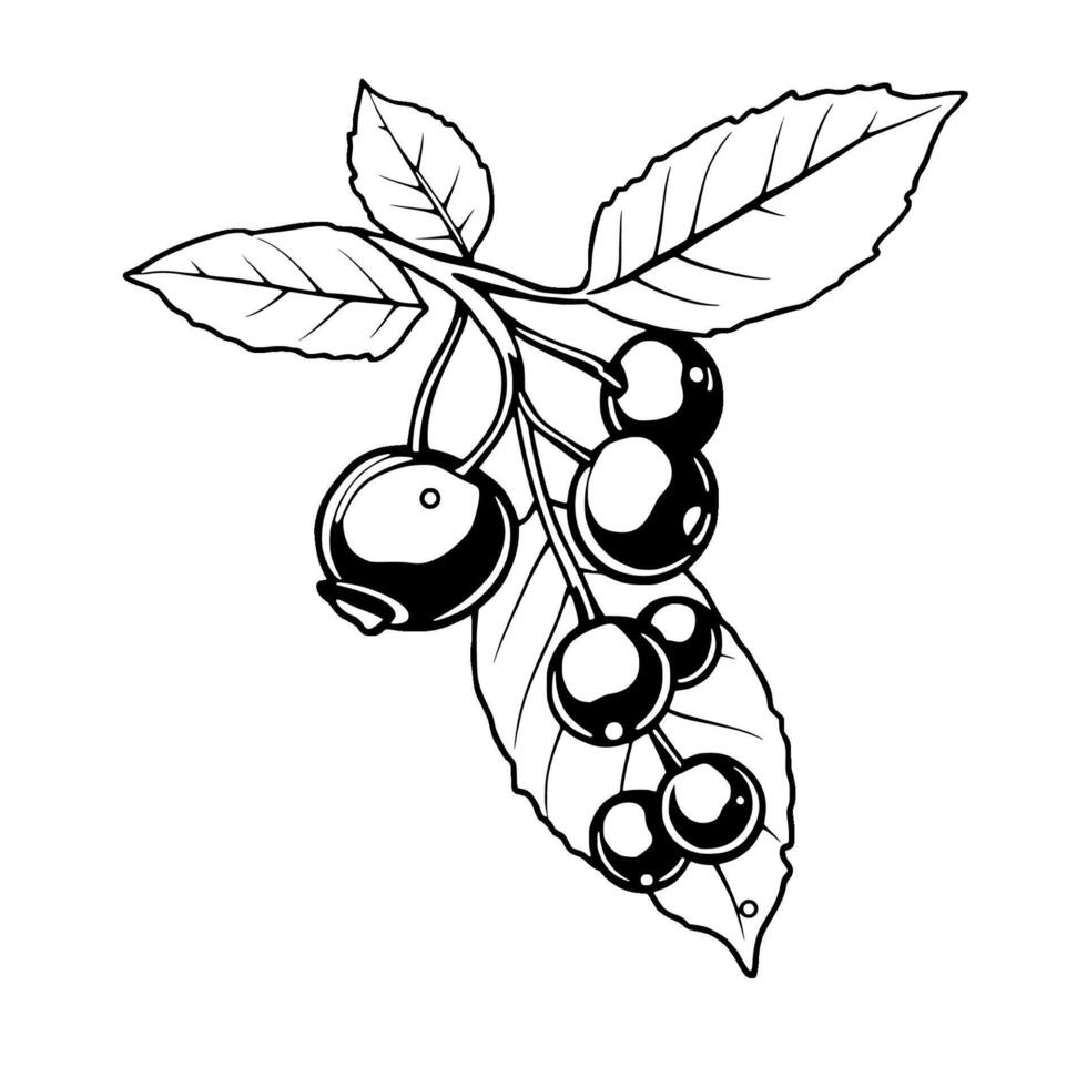 Line Art Illustration Of A Branch With Ripe Berries And Leaves vector