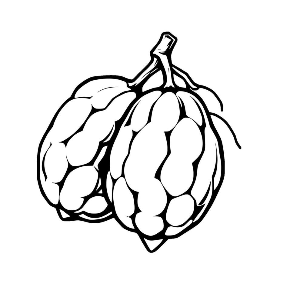 Black And White Line Art Illustration Of Cherimoya Fruit vector