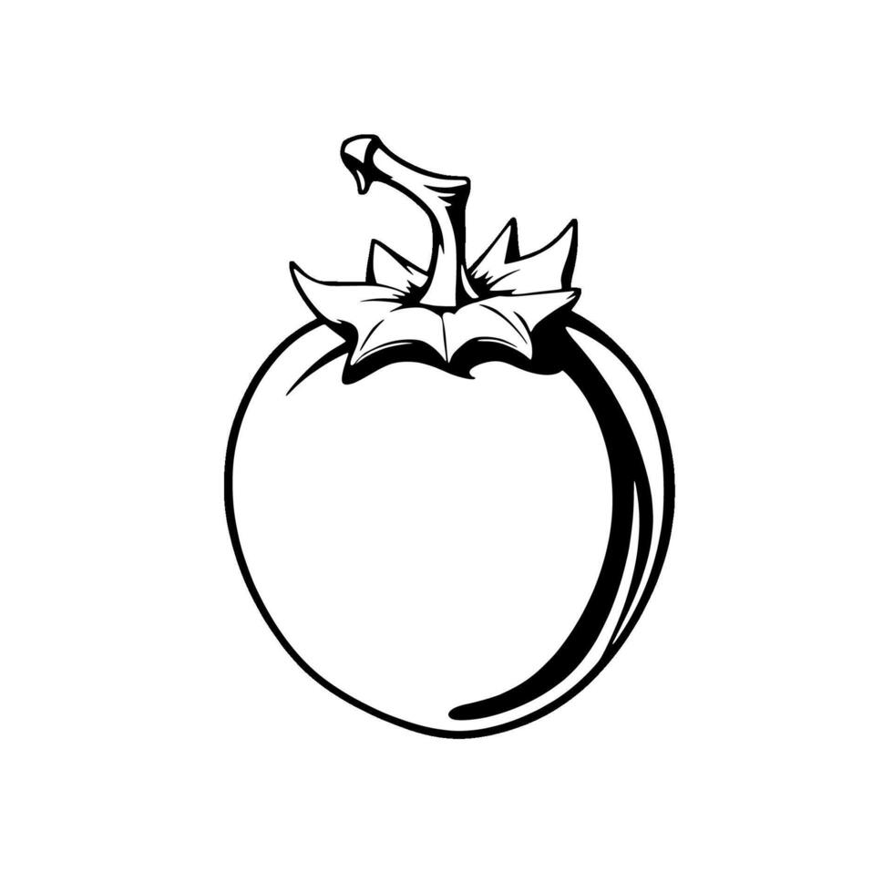 A Simple Line Drawing Of A Single Ripe Persimmon Fruit vector
