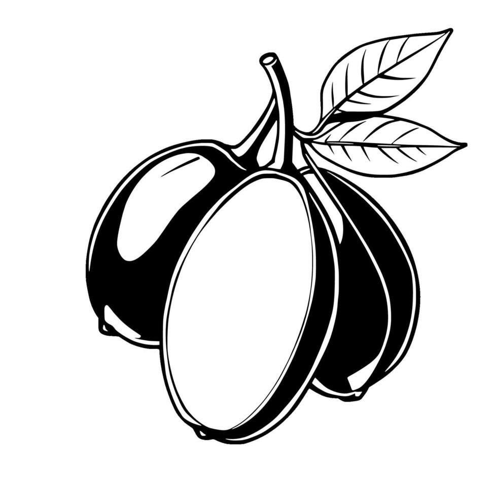 Black And White Illustration Of Three Oval Fruits With Leaves vector