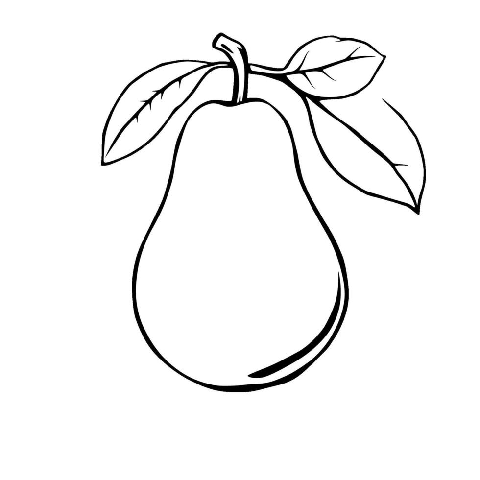 Simple Line Drawing Of A Pear With Leaves Isolated vector