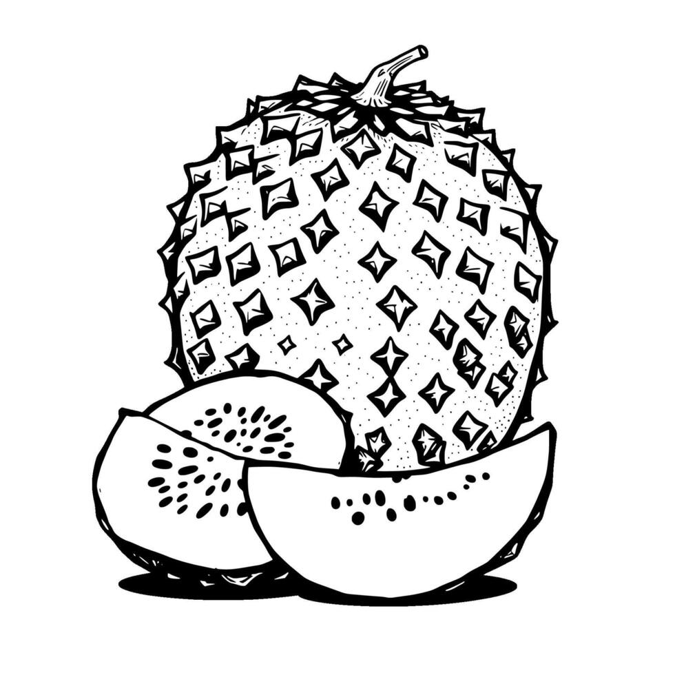 Detailed Line Art Illustration Of A Whole And Sliced Chirimoya Fruit vector