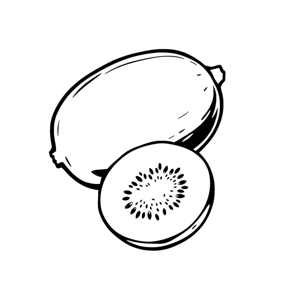 A Simple Line Drawing Of A Whole Kiwi Fruit And A Sliced Kiwi vector
