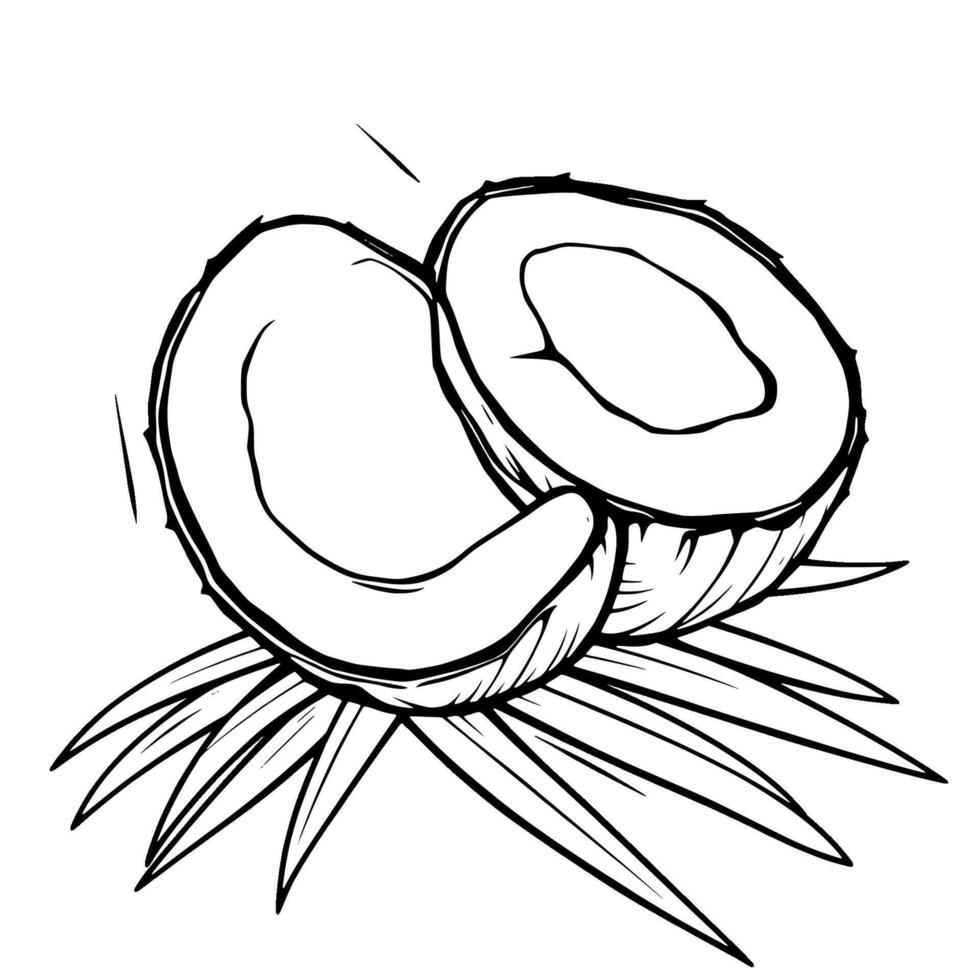 Halved Coconut Resting On Palm Fronds Line Art Illustration vector