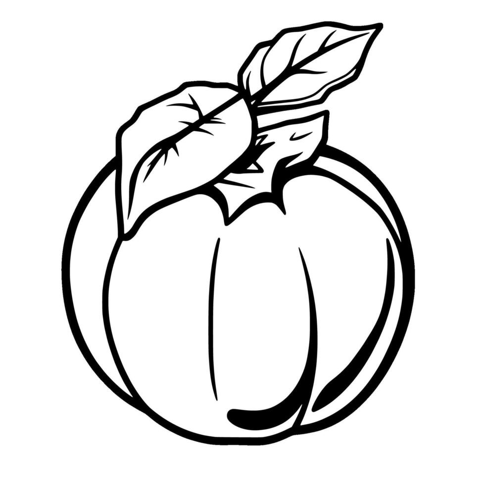 Simple Line Drawing Of A Single Apple With Leaves vector