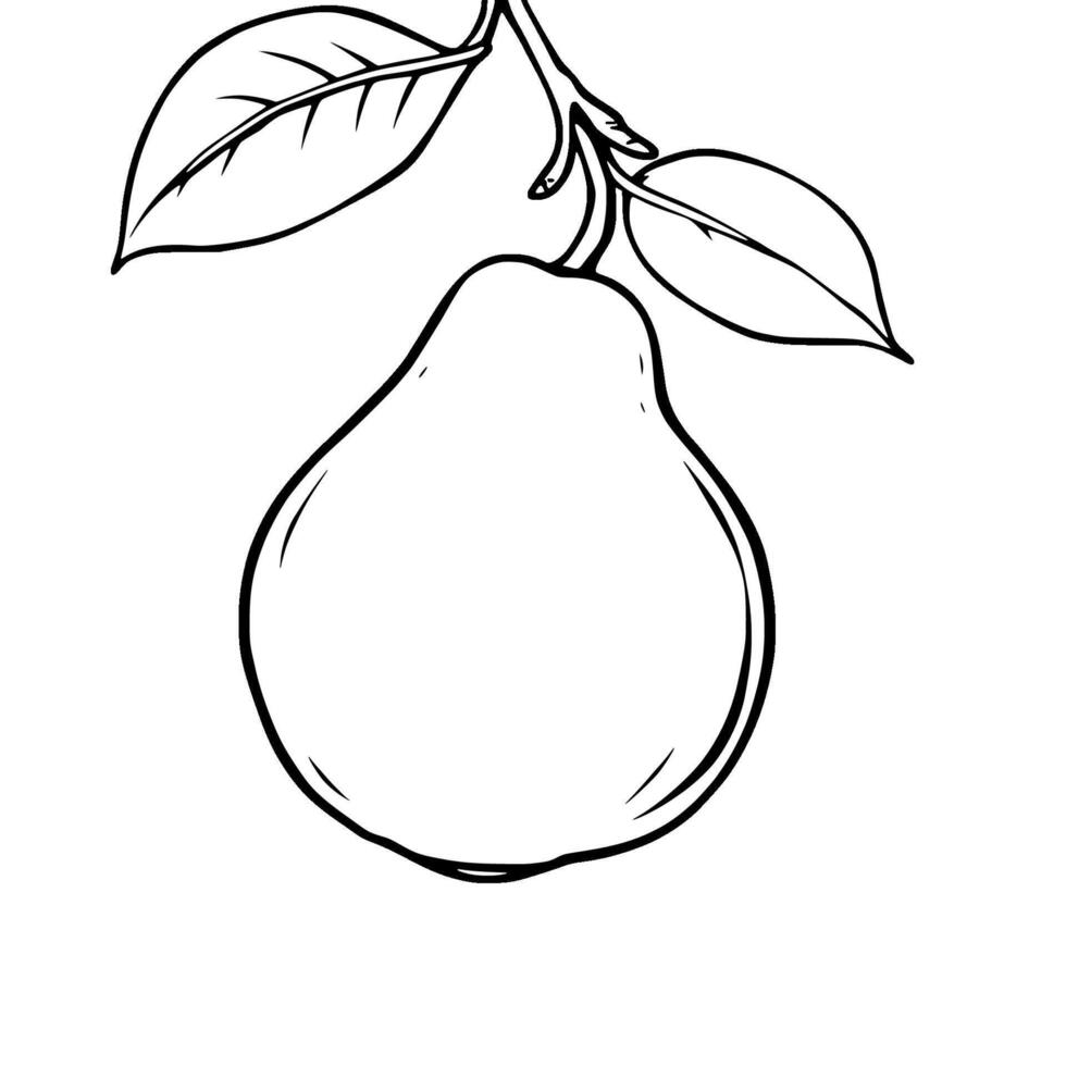Line Art Drawing Of A Single Pear On Branch With Leaves vector
